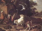 Melchior de Hondecoeter, Birds and a Spaniel in a Garden (mk25)
